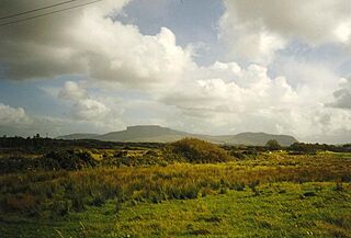 Long Dyke with the Dartry Mountains beyond - geograph.org.uk - 1112773.jpg