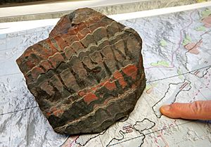 Archivo:Mesabi Iron Range stromatolite