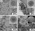 Mesoporous Silica Nanoparticle