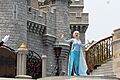 Mickey's Royal Friendship Faire (27662543581)