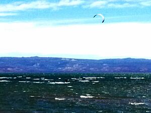 Archivo:Muster viento