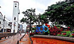 Parque Principal Pitalito.jpg