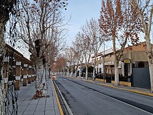 Archivo:Paseo de la Reina, en Fuente Vaqueros (Granada)