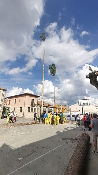 Pingada del Mayo 2023. Doña Santos (Burgos) 01.jpg