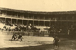Archivo:Plaza de Toros de San Cristobal