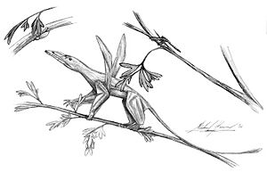 Archivo:Preondactylus apatomerus