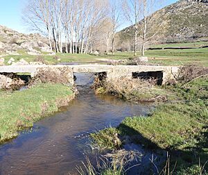 Archivo:Puente en Riofrío