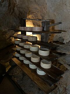 Archivo:Queso Cabrales