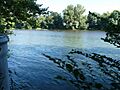 Roques31 garonne