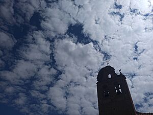 Archivo:San Pascual espadaña 6