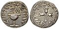 Silver shekel - First Jewish Revolt, 2nd year