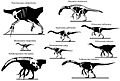 Therizinosaur skeletons