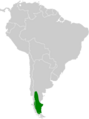 Tinamotis ingoufi map