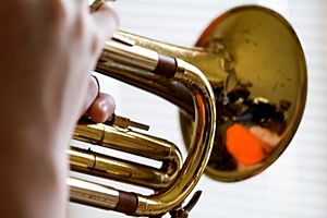 Archivo:Trumpet afination
