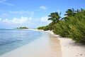 Uninhabited island Cayo Bolivar