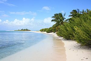 Archivo:Uninhabited island Cayo Bolivar