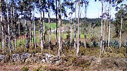 Vallo Fervenzas Aranga A Coruña.jpg