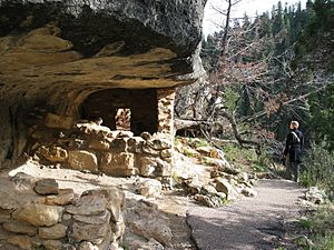 Archivo:Walnut canyon cliff dwellings