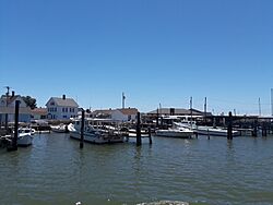 A sunny day for heading back to the mainland.jpg