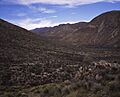 A view of the scenic landscape at the Leslie canyon