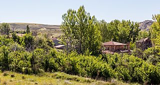 Alpedroches, Guadalajara, España, 2017-05-23, DD 27.jpg