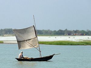 Archivo:Boat Sailing up Padma River Bangladesh