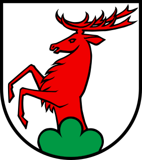 CHE Ammerswil COA