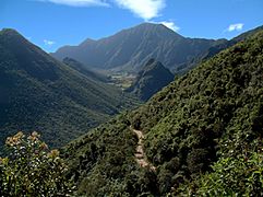 Camino a la Caldera del Pululahua