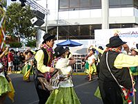 Archivo:Carnaval andino arica