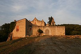 Castell de Palol - vista general.jpg