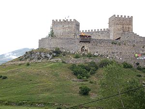 Archivo:Castillo de Argüeso 001