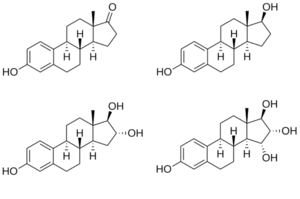 Archivo:Chemical structures of major endogenous estrogens no labels