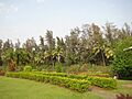 Dadra Garden, Dadra - panoramio (1)