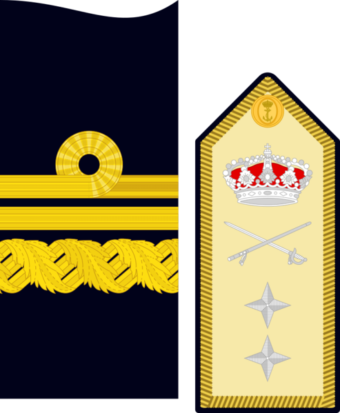 Divipalaarmadaes 25