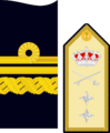 Divipalaarmadaes 25