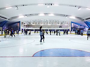 Archivo:Durban Ice Arena