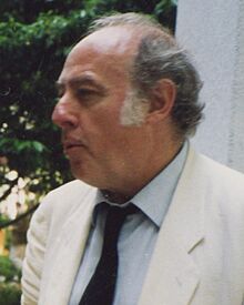 Eduardo Arroyo (cropped).jpg