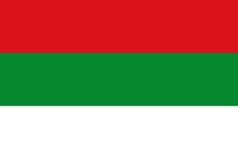 Flag of Saxe-Hildburghausen (until 1815)