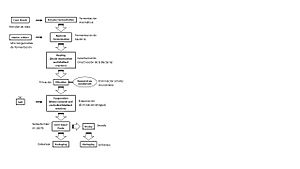 Archivo:Flujo ES