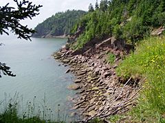 Fundy National Park of Canada 7