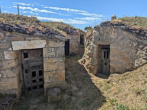 Archivo:Hoyales de Roa, bodegas 03