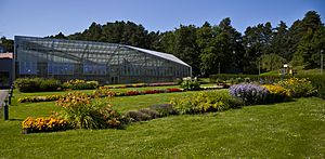 Archivo:Jardín Botánico de Tallinn, Estonia, 2012-08-12, DD 02