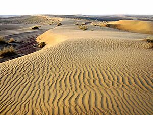 Archivo:Karakum Desert, Turkmenistan