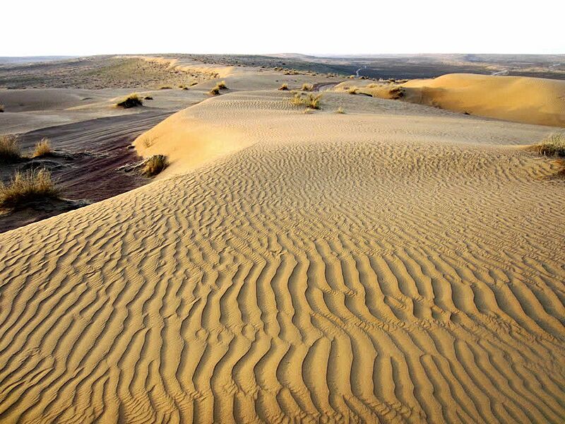 Karakum Desert, Turkmenistan