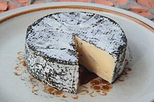 Archivo:Météorite fromage