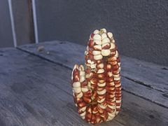 Mazorca de maíz y su hijito - Yavi Chico