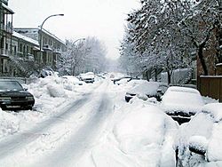 Archivo:Montreal - Plateau, day of snow - 200312