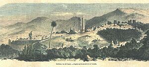 Archivo:Nedromapanorama