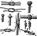 Nf knots