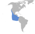 Oceanodroma melania map